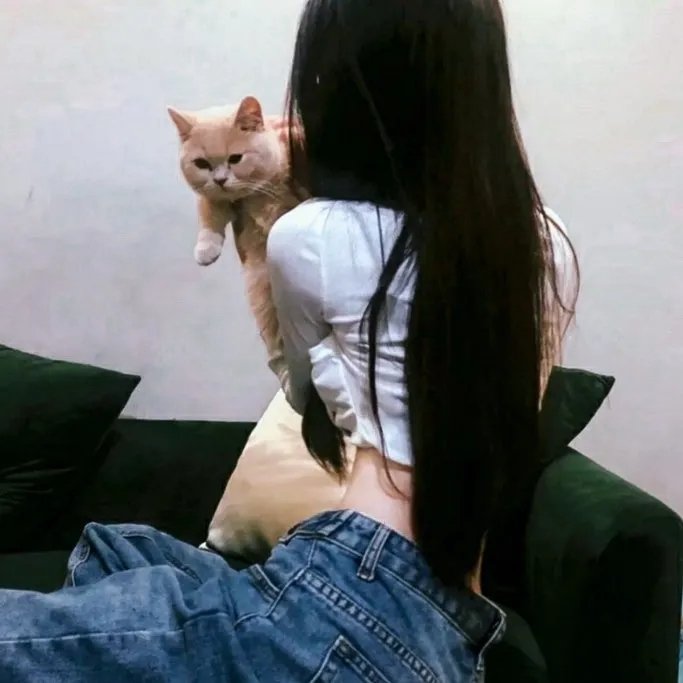 义犬记